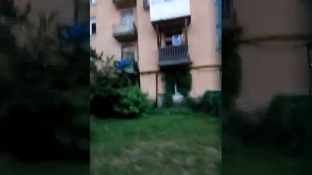 Катаемся на тарзанке