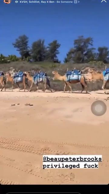 Beau Brooks and Brooke Roberts with the view of camels outside the window (September 28, 2022) смотреть онлайн