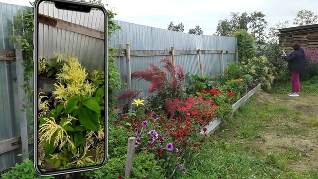 Блоге с грядки смотреть онлайн