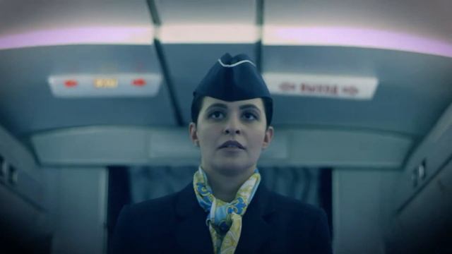 Ролик № 2 «Телефонный терроризм Аэропорт» смотреть онлайн