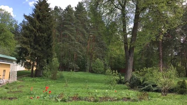 Алтуфьево и Архангельское вместе с Солнцем смотреть онлайн