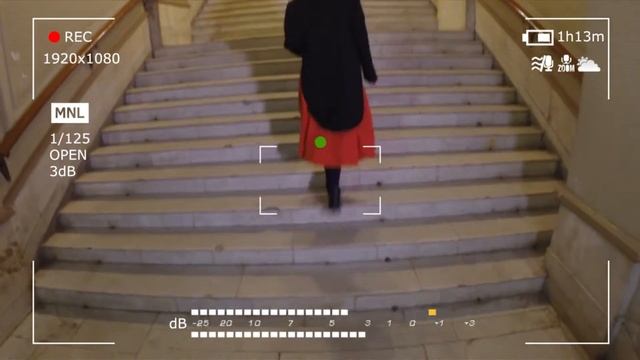 Архитектурный патруль. Филармония смотреть онлайн