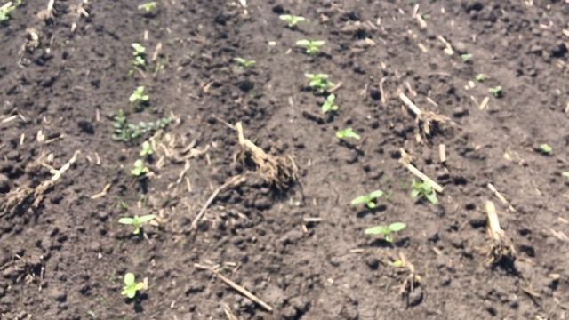 Евролайтинг 31 Травня 4 Червня До І Після смотреть онлайн
