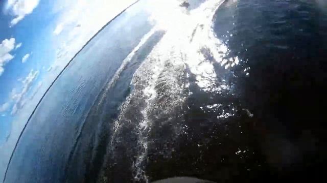 VivaBraslav-2022 смотреть онлайн