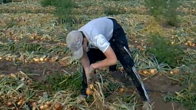 Алексей на ЛУКЕ :D.mp4