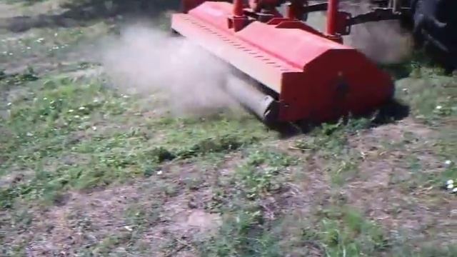Грецкий орех,уход за садом смотреть онлайн