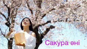 Сакура әні