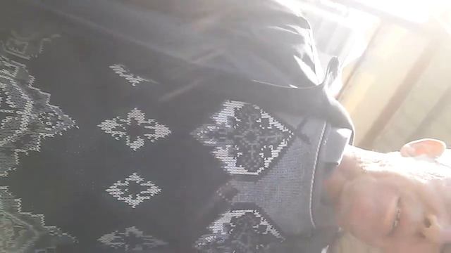 Вот он Лев🐯#яндекс смотреть онлайн