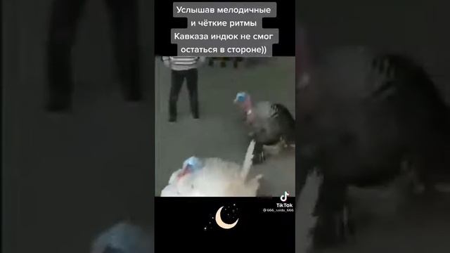 танец с индюком