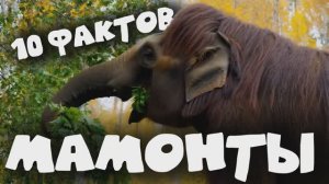 10 Удивительных Фактов о Мамонтах | Нейросетевая анимация + Научный ликбез для детей и взрослых