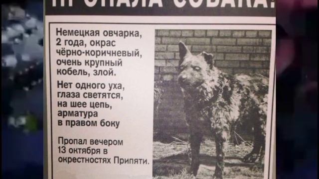 D5e8f35d703864201882fd5ebf5e1e1f.mp4