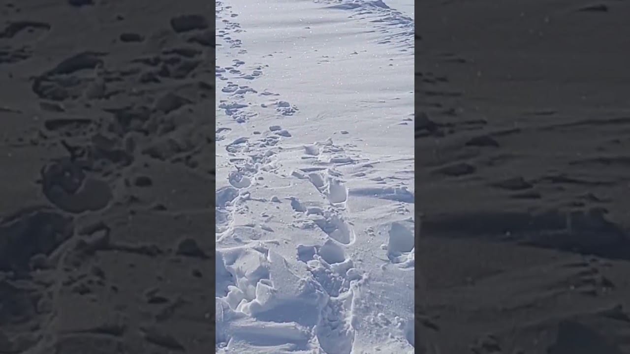 Замело так замело. Дорога. смотреть онлайн