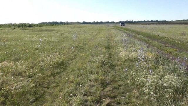 Поиск с ИНТРОНИКОМ . Встретил лося. Первое серебро