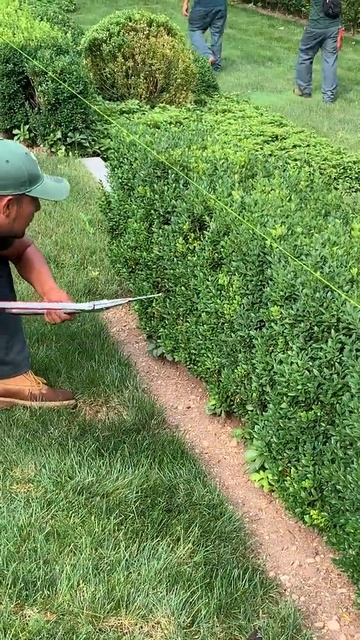 Summer Hedge Shaping Up смотреть онлайн