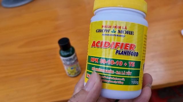 Chăm cây chống rét trước khi làm mầm gốc смотреть онлайн