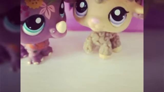 Моя коллекция LPS(1 часть)/Пончик Жулик