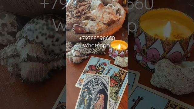 что вам нужно сейчас знать смотреть онлайн