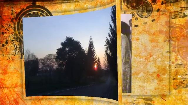 Забытый альбом