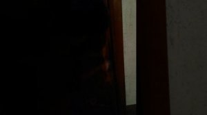 Ольга Смирнова   Отмываю входную дверь без моющих средств