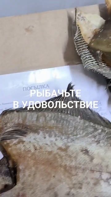 Ёрш вяленый едет в г. Озëры.