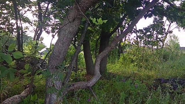 Письмо/Марина Цветаева,1923г./ смотреть онлайн