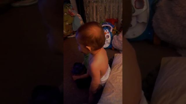 Танец под песню ленинград экспонат