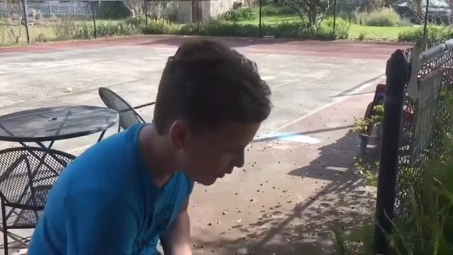 Gecko Eggs and Embryos смотреть онлайн