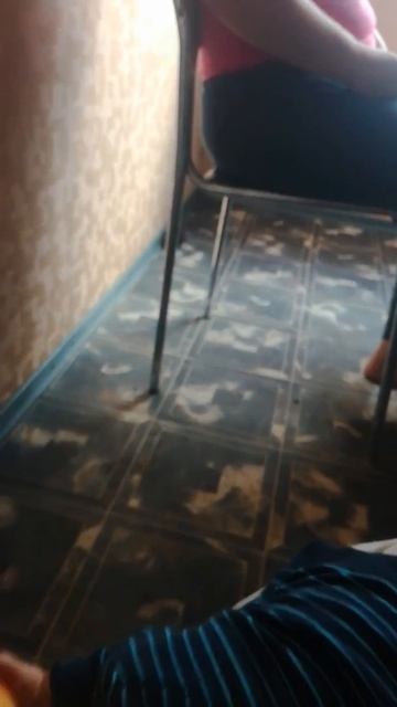 Прикол, приколы, сыр, дети, смешно