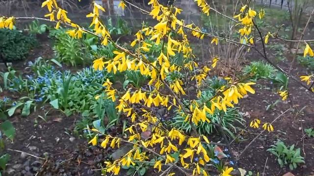 20 апреля 2025. Пасха. смотреть онлайн