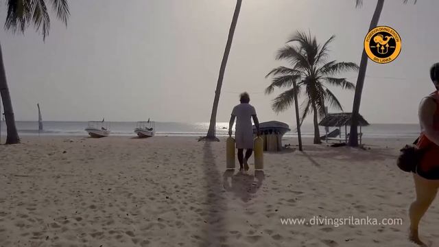 Poseidon Diving Centre -Trincomalee смотреть онлайн