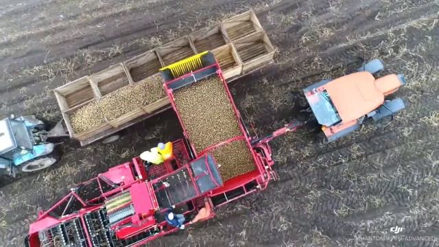 Potato Harvesting