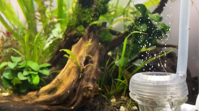 River Tank Aquascape смотреть онлайн