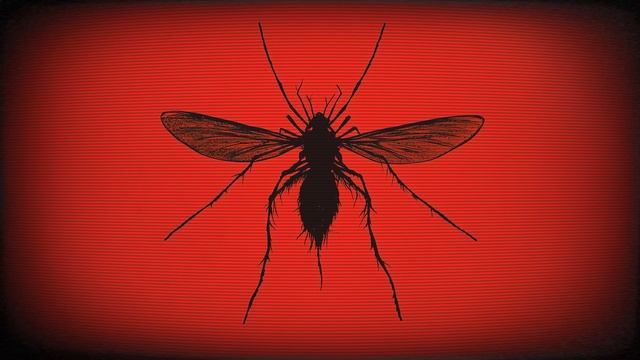 DARK MINIMAL TECHNO MIX 2025 MOSQUITO