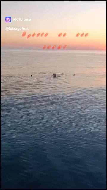 Clip109303633_456239136
