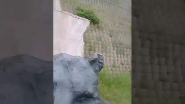 Плато мамонтов  в Ханты мансийске.