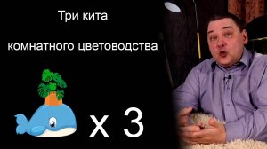 Три кита комнатного цветоводства. Сейчас вы станет профессионалом