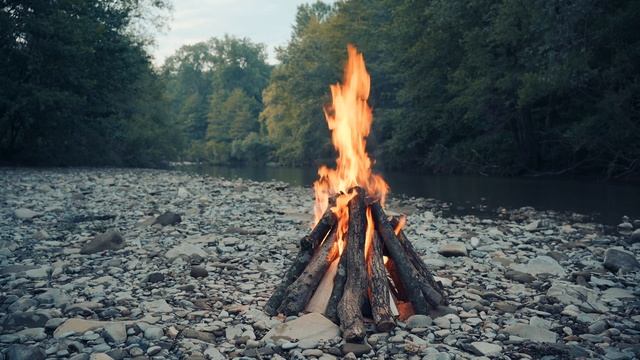 Успокаивающие звуки леса у костра. смотреть онлайн