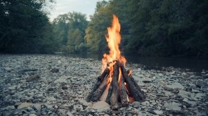 Успокаивающие звуки леса у костра.