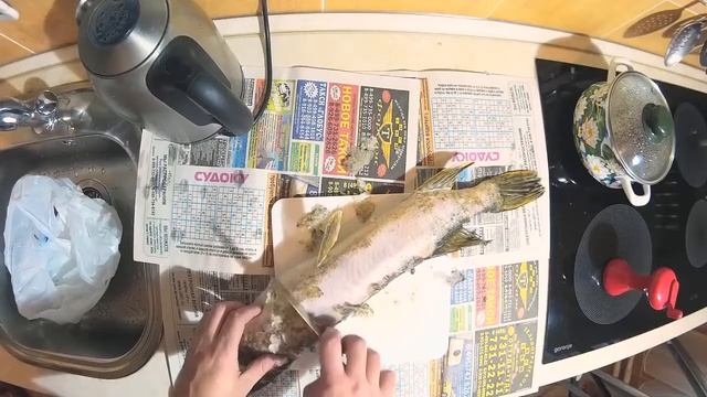 Как быстро и без грязи почистить щуку. смотреть онлайн