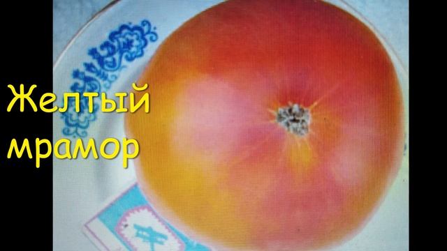Часть 4 КАТАЛОГА ТОМАТОВ 2023 г. г КИРОВ. Ватсап тел. 89229284031 смотреть онлайн