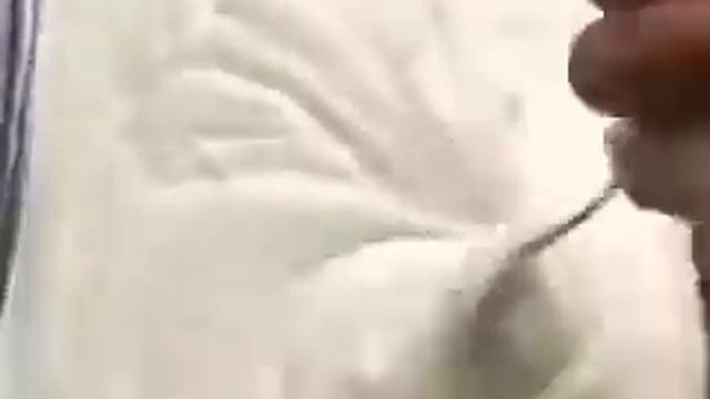 Приготовь мороженое сам.