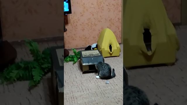 21 января 2019 г. смотреть онлайн