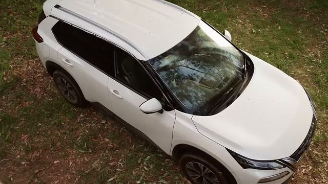 You-shaped Insurance | Campfire