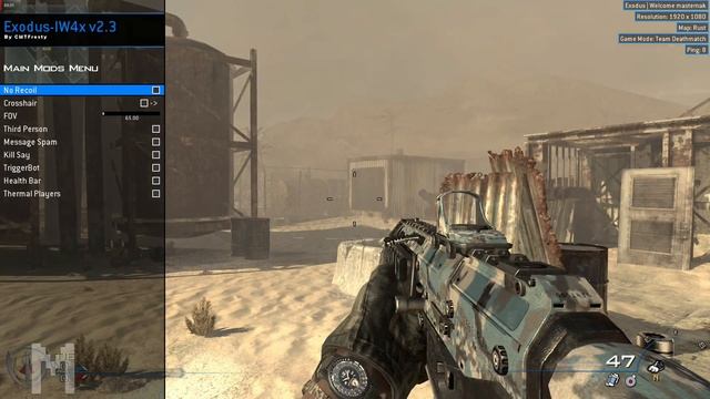How to Get IW4X Hacks (Updated 2025) смотреть онлайн