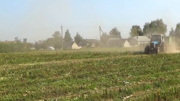 Claas Jaguar 870 и John Deere 6750 убирают силос в СПК "Гигант"