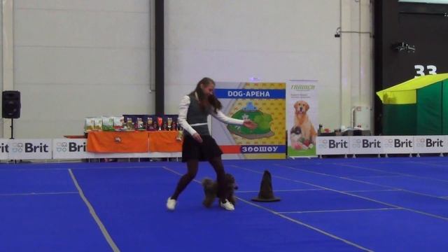 Латинская Ирина и ДИЗА ФЛЕЙЧ ЭКЕНЕДИЛИЧУКВУ ТРАЙСИ. Открытый - Фристайл