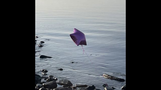 M.I.A. - BAD GIRLS (ELFZ HARD DANCE REMIX)