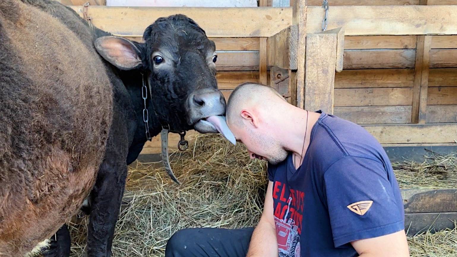 Теперь все будет по другому? Подарки от зрителей. Ремонт в доме продолжается. Жизнь простых людей. смотреть онлайн