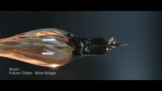 Black Flame Corn WS popelpen 1280 смотреть онлайн