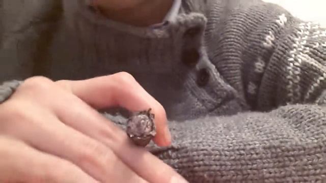 Sigaro Toscanello Aroma Fondente смотреть онлайн